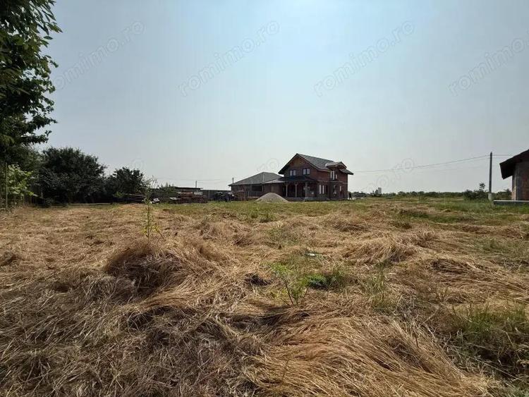 Inchiriem viitorul pe metru patrat, teren 800 mp, intravilan-Peciu Nou - 3