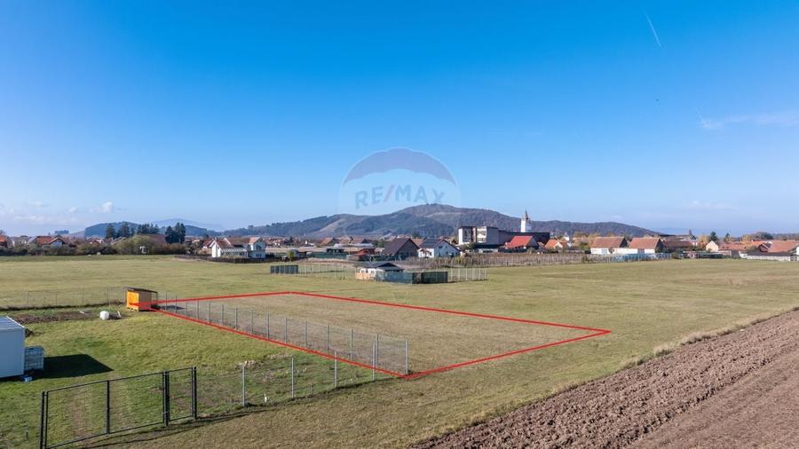 Teren Harman, Strada Henri Coanda, 1000mp - 12