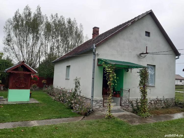 Casa de vanzare in sat Capalnas, comuna Birchis - 7