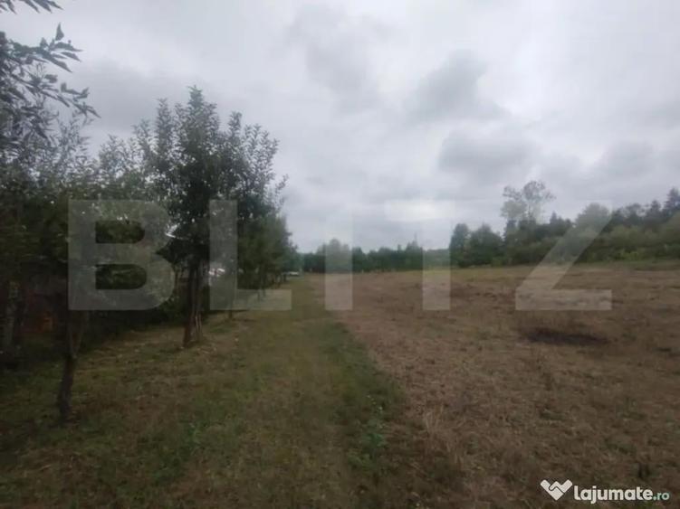 Cabana + teren intravilan, 50 ari, oras Beclean - 3