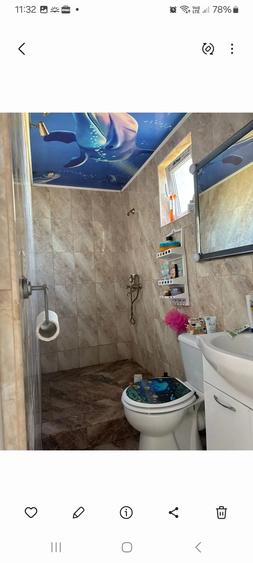 Primesc in gazda intr-o camera la vila din Vi?ani - 1