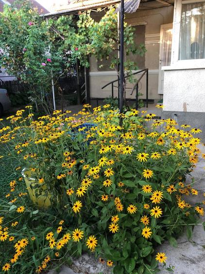 Casa spa?ioasa cu gradina mare, anexa ?i utilita?i complete Jibou - 2