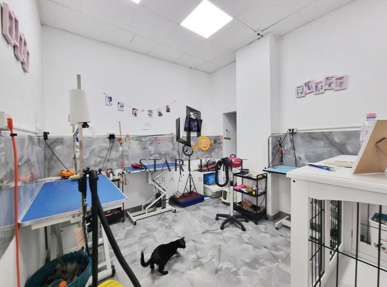 Inchiriere spatiu stradal Sos. Iancului | Parter 51 mp | Vad pietonal & Vitrina - 8