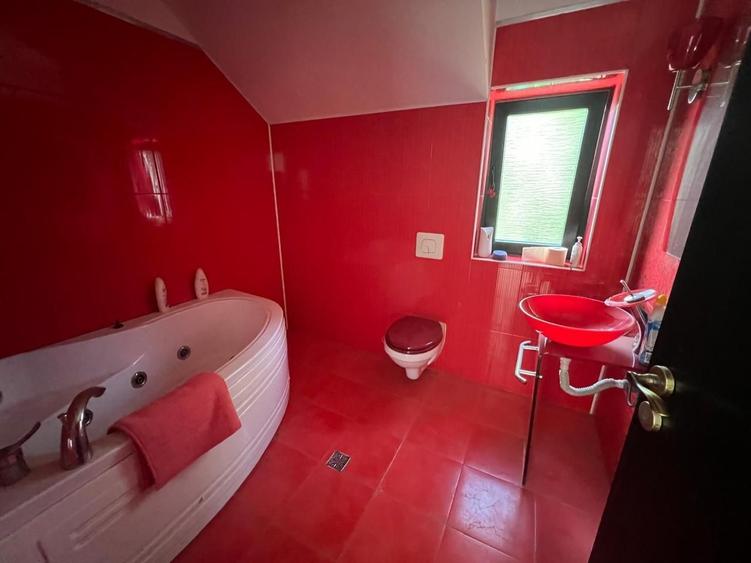 Vila de inchiriat in zona Ghiroda - 9