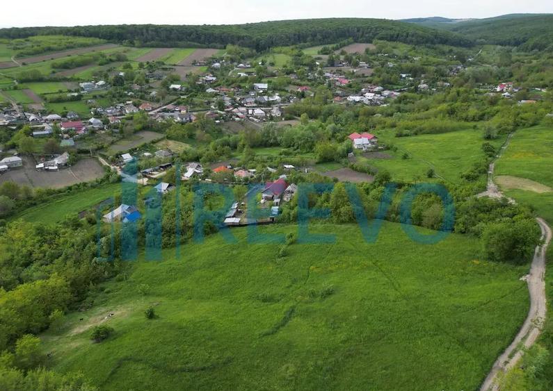 Teren de vanzare, Com. Racova, Str. Bradului, Bacau - 2