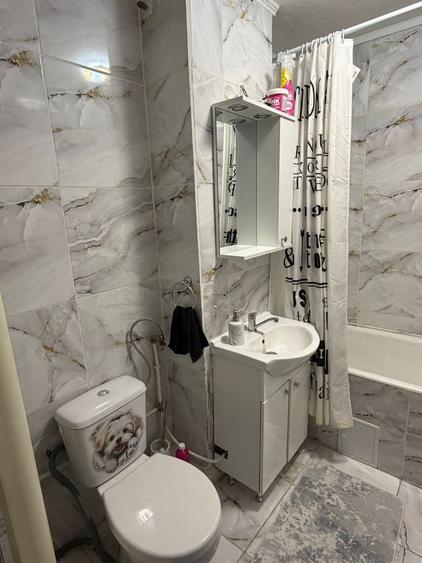 Apartament 1 camera- Nufarul- de inchiriat - 5