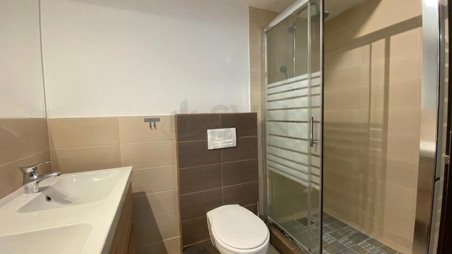 REA1008147 Penthouse 5 camere superb-vedere directa Herastrau - 20