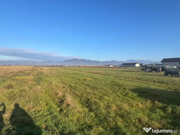 Teren de vanzare Mocira, jud. Maramure? 18 ari - 2