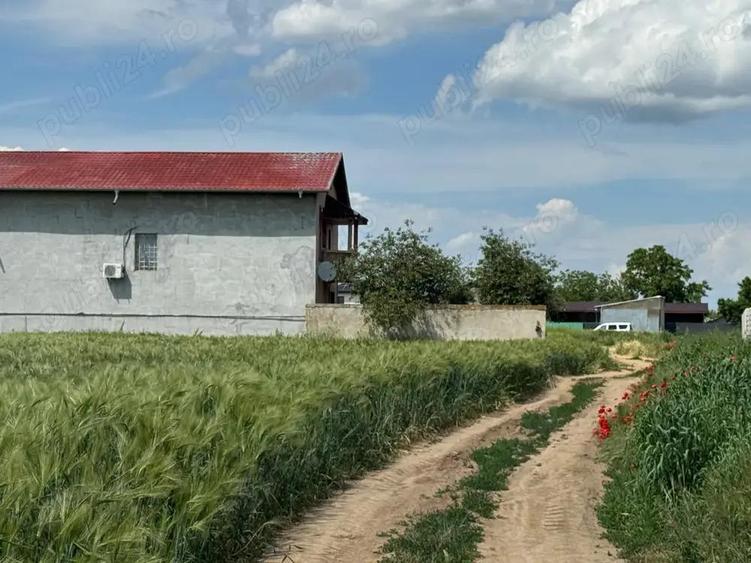 Vanzare Teren intravilan 500mp Cernica Balaceanca Ilfov - 2