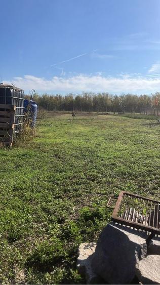 Teren 6.150 mp intravilan Gradistea, Ilfov - 7