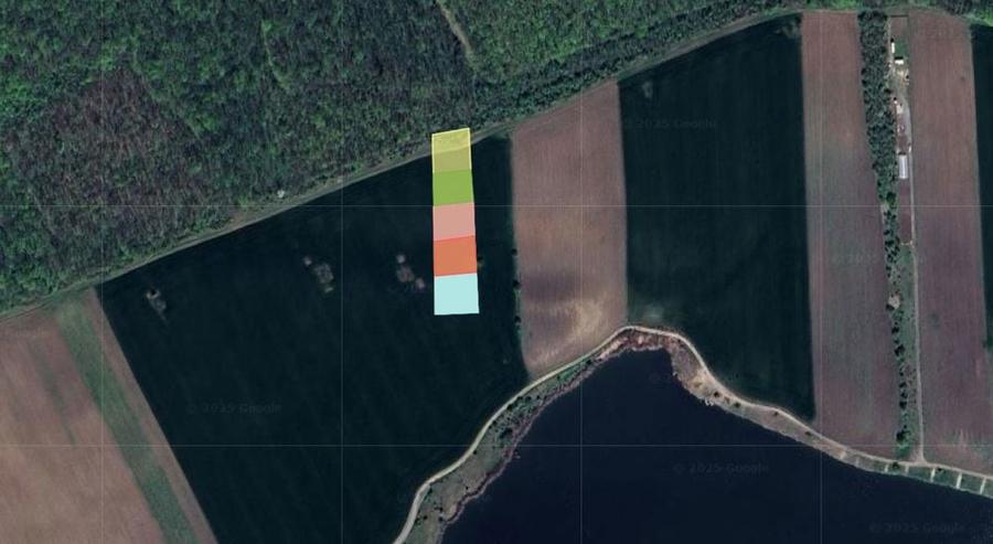 Lot 1000 mp in umbra padurii cu view la lacul academiei din Caciulati - 4