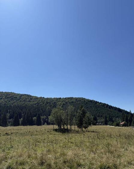 SUPER OCAZIE - Teren intravilan, COMANDAU-PUZ case de vac... - 3