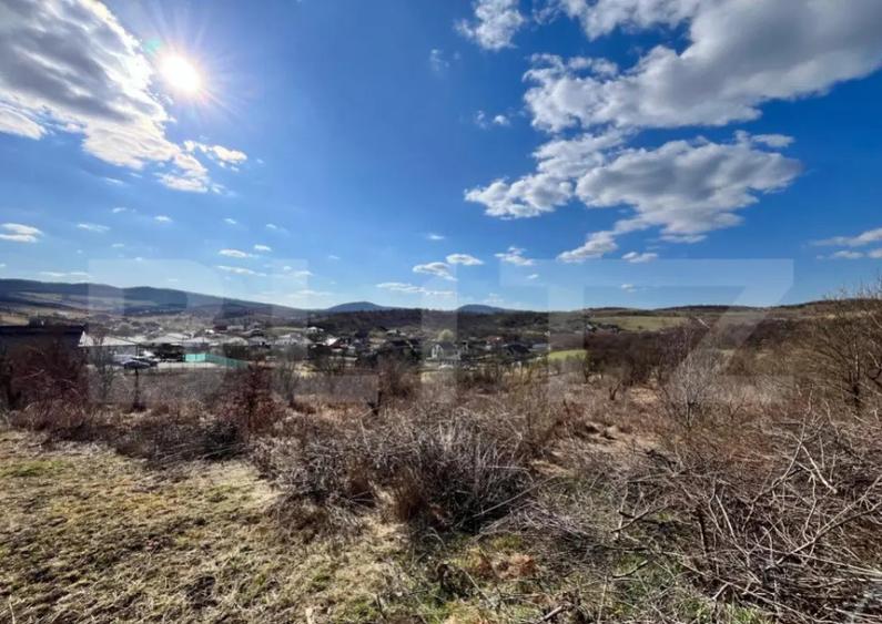 Teren intravilan de vanzare, 11.33 ari, situat in zona Valea - 1