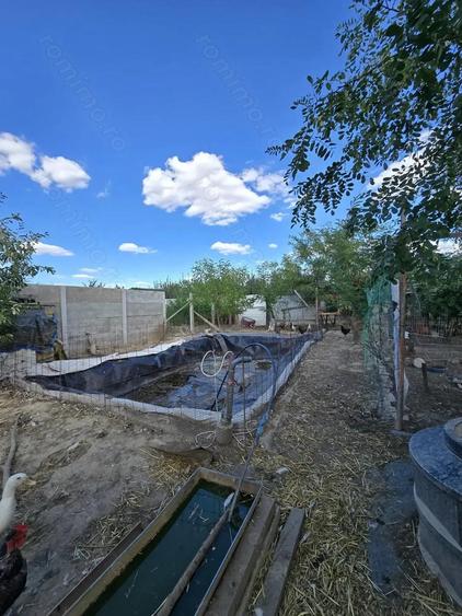 Parta-casa si teren 719 mp-parter - 11