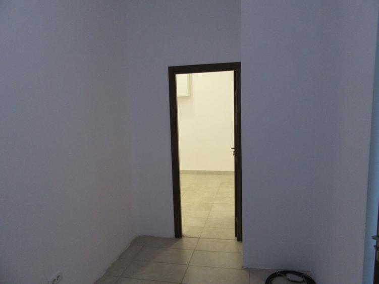 Inchiriere Spatiu Comercial Teiul Doamnei - 33