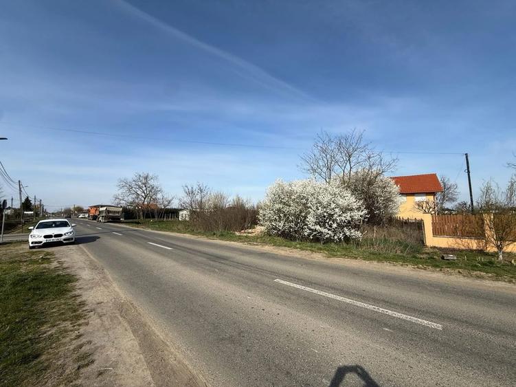 Ofer Teren intravilan 86 Arii spre vanzare la intrare in Vetis - 6
