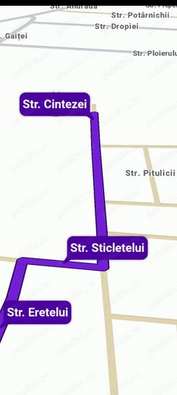 Teren Mo?ni?a Noua -Urseni de vanzare - 4