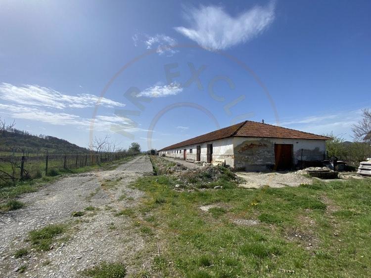 Teren intravilan cu grajduri si anexe – Aninoasa AG - 2