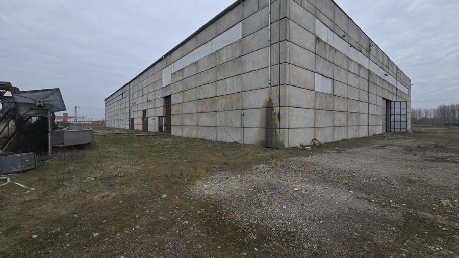 De Vanzare Hala/Depozit - 1