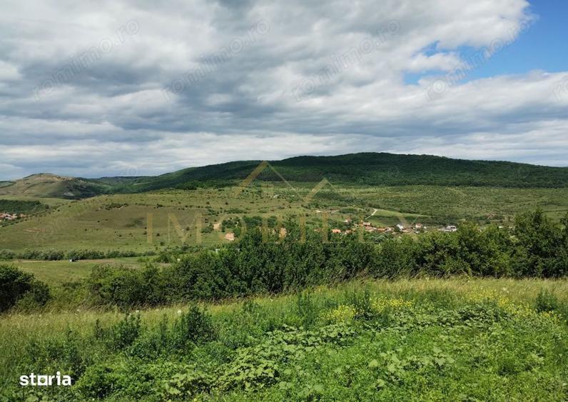 Teren intravilan 2.200 mp | Radaia Baciu | Panorama superba - 3