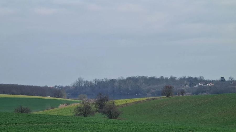 Lot 1000 mp in umbra padurii cu view la lacul academiei din Caciulati - 5