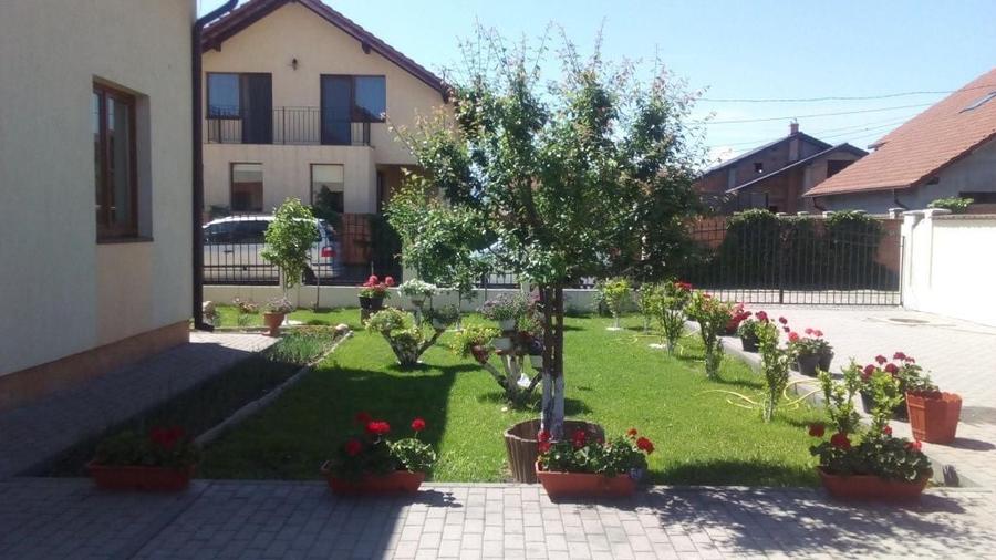 Casa de Vanzare Drumul Petrestiului - 8