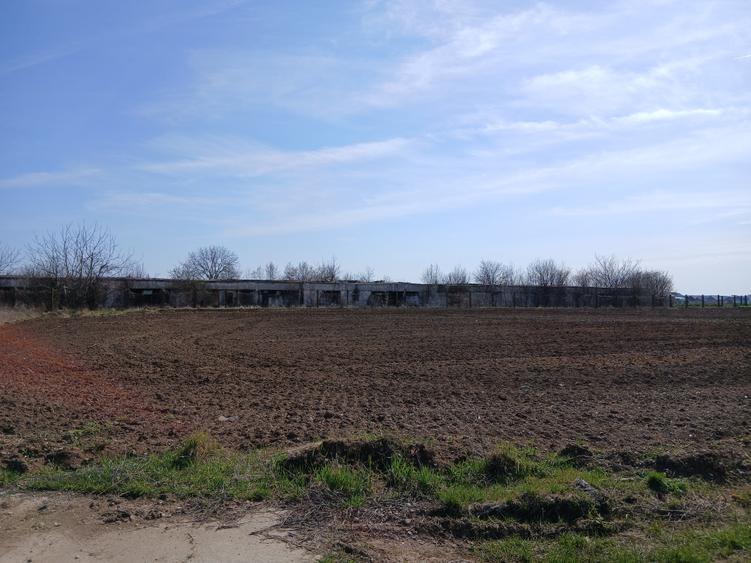 Teren intravilan 16400 mp, Balotesti-Saftica - 50 euro/m2 - 10