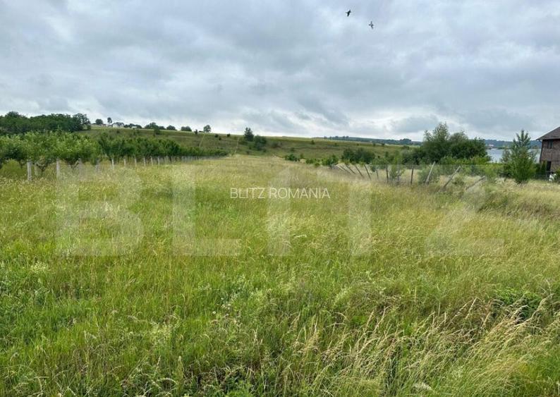 Teren intravilan pentru investit 5200 mp Teren intravilan pentru investit 5200 mp