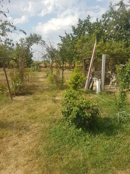 Casa de vinzare Pecica - 7