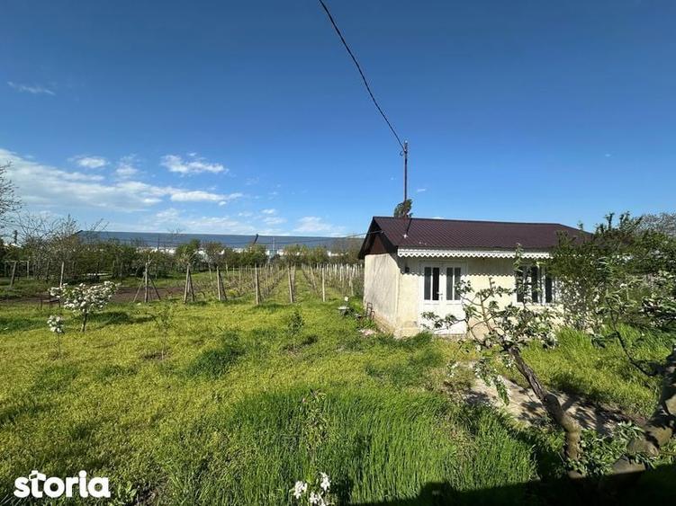 Vand loc de casa - 1