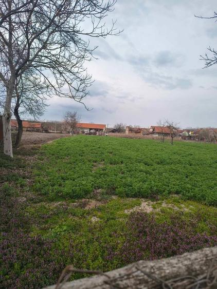 Casa de vanzare Cutina - 4