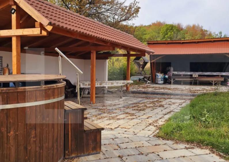 Casa de vanzare, sub padure, intr-un cadru natural deoseb - 2