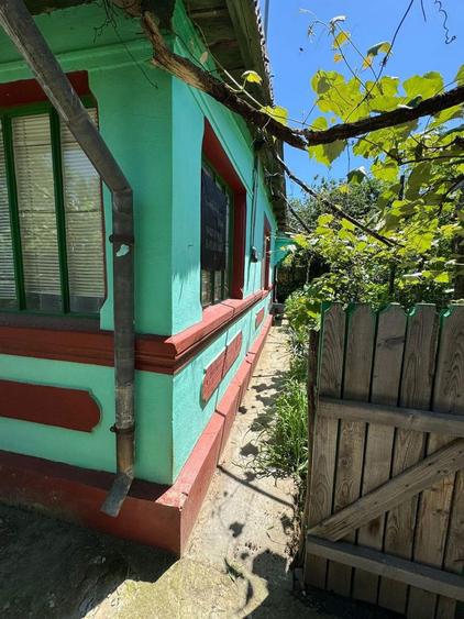 Casa parter Braila Ulmu/ Mohreanu curte 1225mp - 7