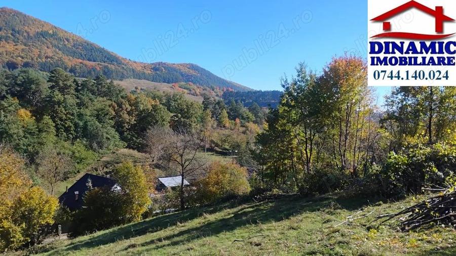 3600 mp teren intravilan, sat Bistrita, 19 Euro mp - 2