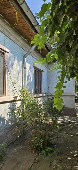 Casa cu teren de vinzare in Moara Domneasca-Rafov - 4