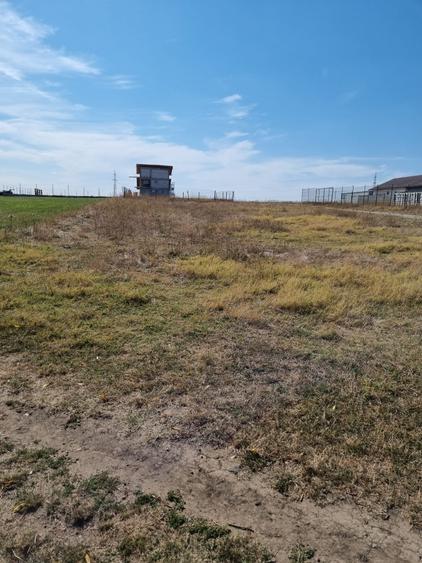 Teren Comunca Berceni - Miorita - Padurea Craiului - 1