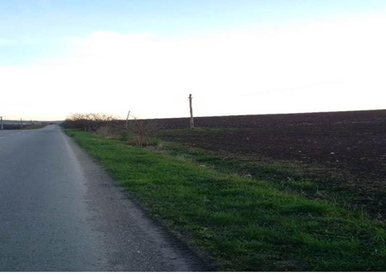 Teren Construcții intravilan de 27700 mp, în Iernut - 9