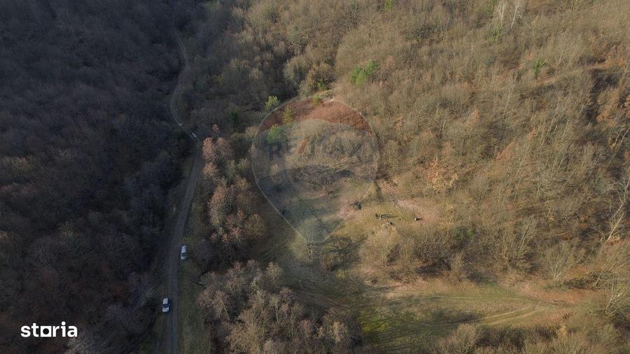 Poiana pentru cabana de vanzare intravilan Coas - 10