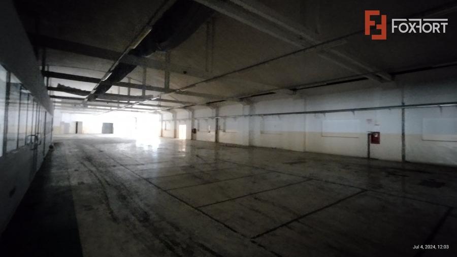 COMISION 0% Hala de productie si depozitare, corp administrativ si birouri - 45