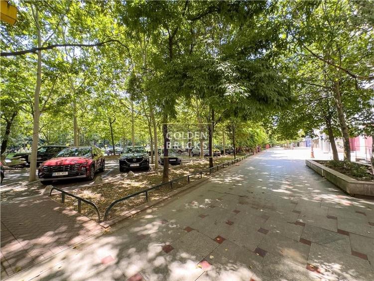 Pta Alba Iulia | Unirii | Prima inchiriere | Parcare disponibila - 29