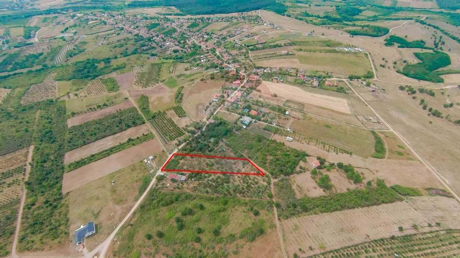 De vanzare Teren 3995mp intravilan Saldabagiu de Munte - 2