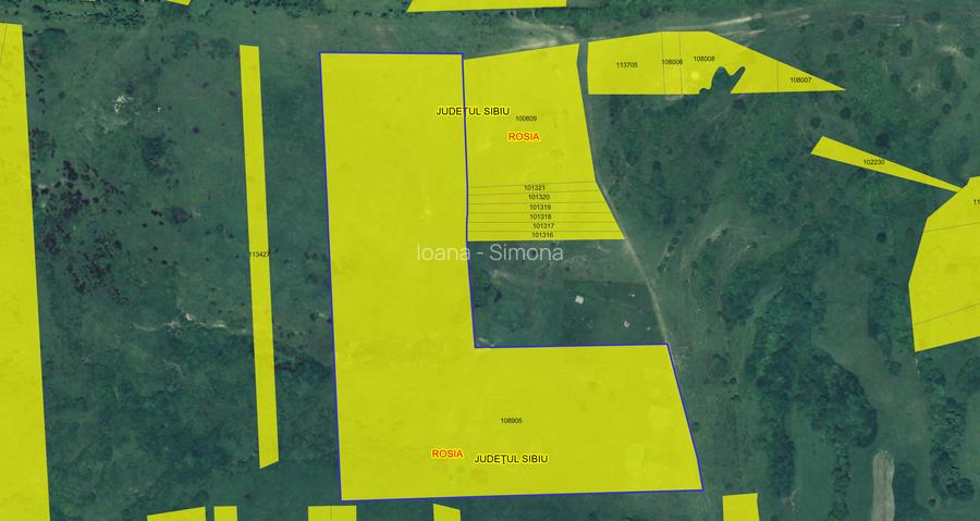 Teren agricol extravilan de vânzare – 67.500 mp – Dealul Daii, Sibiu