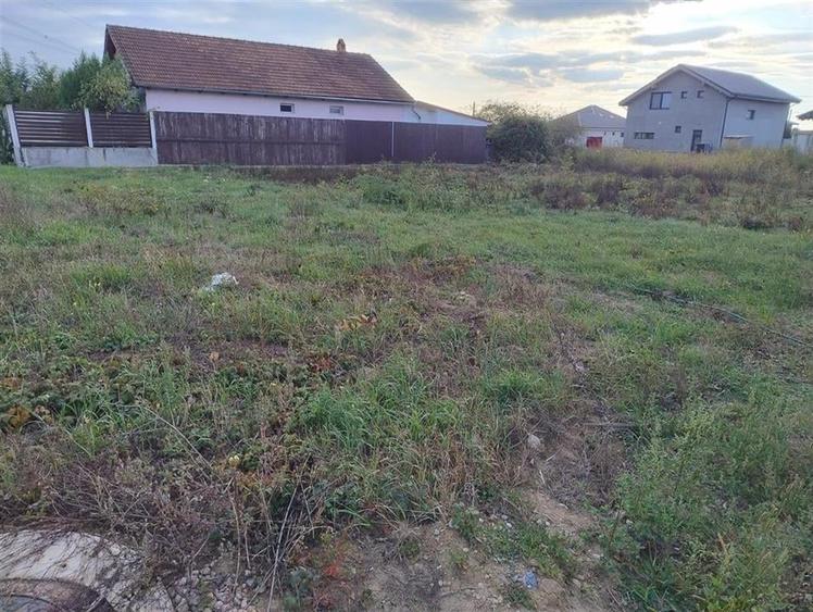 RECO Teren intravilan Apateu - 3