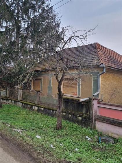 RECO Casa batraneasca cu teren generos in localitatea Tria - 1