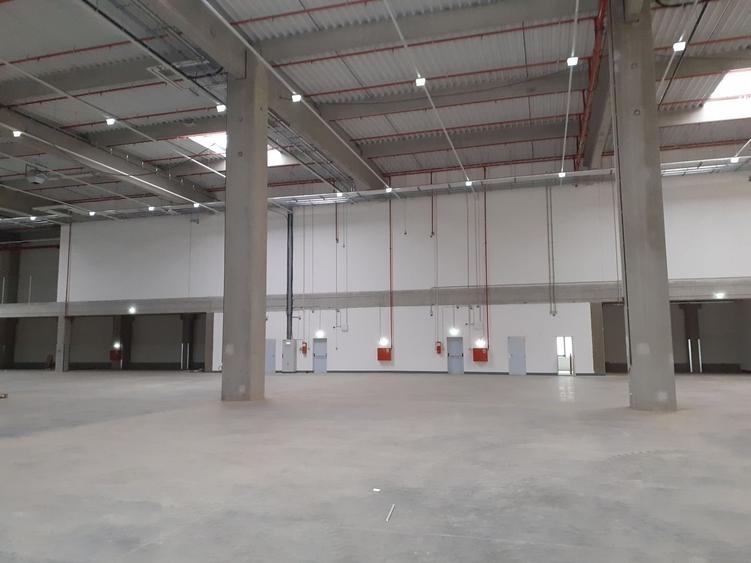 Hale logistice si industriale clasa A, supr 1000 mp la 70000 mp - 1