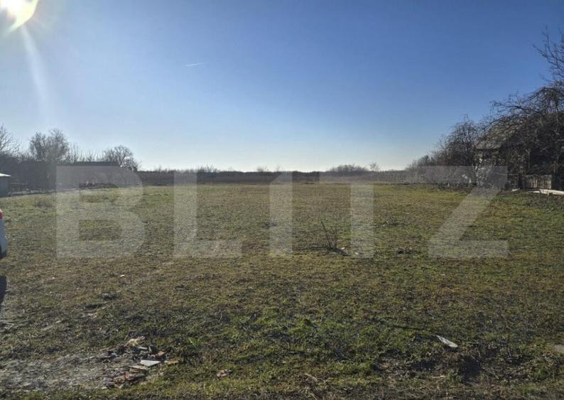 Teren 48 ari - Lazuri - 1