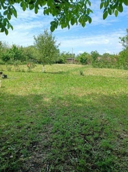 Vand 3413 mp teren intravilan - 4