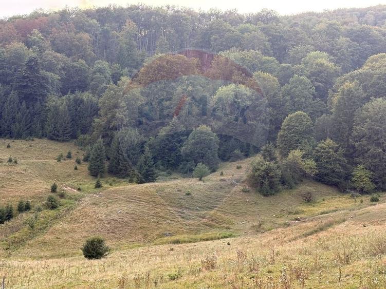 TEREN EXCLUSIV PENTRU INVESTIȚIE ÎN ZONĂ DE AGREMENT – BRAȘOV, DN 1E - 7