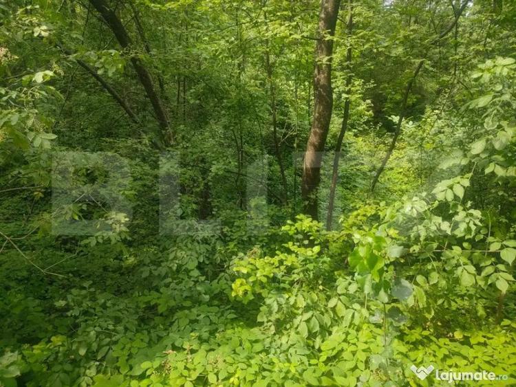 Teren intravilan, 5857 mp, Baltati, Horodnicu de Sus - 8