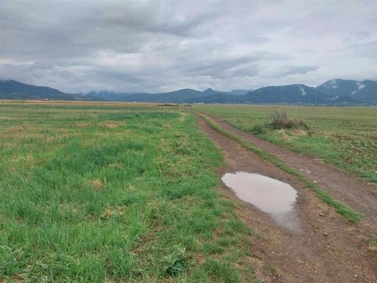 33.100mp, Tarlungeni, Brasov - 2